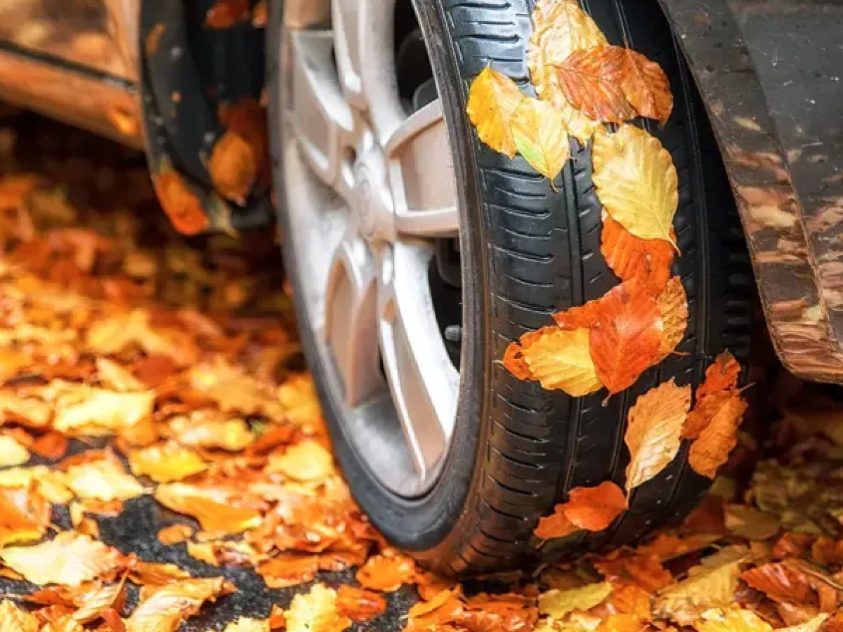 L’hiver se prépare dès l’automne, vos assurances aussi !